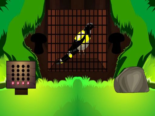 image Black Bird Escape