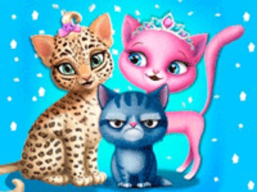 image Cat Hair Salon