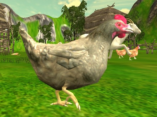 image Chicken Shooting