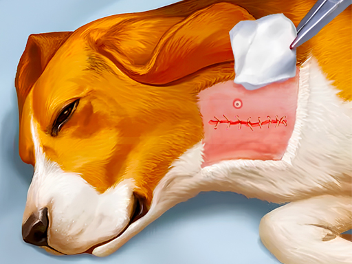 image Dog Hospital