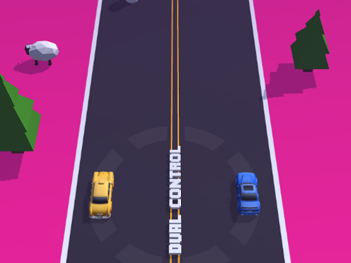 image Dual Control Car