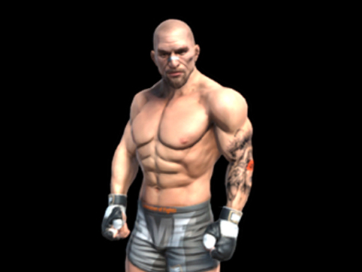 image Fight Arena Online