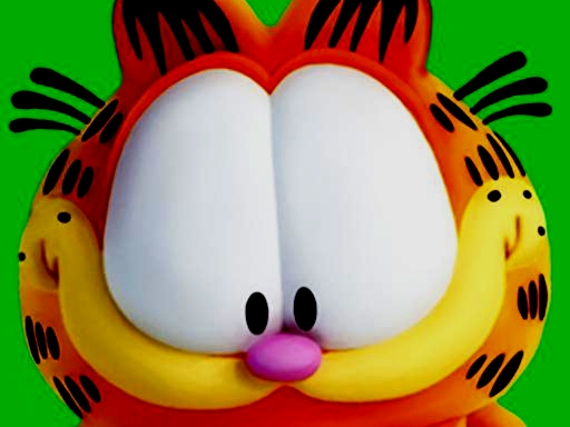 image Garfield Memory Time