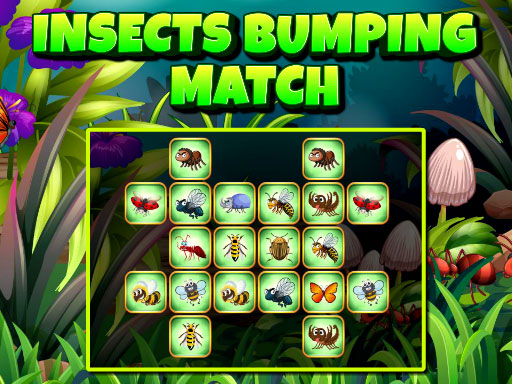 image Insects Bumping Match