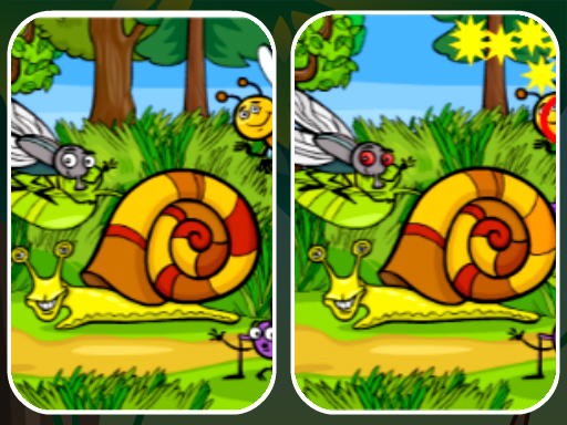 image Insects Photo Differences