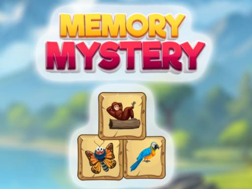 image Memory Mystery