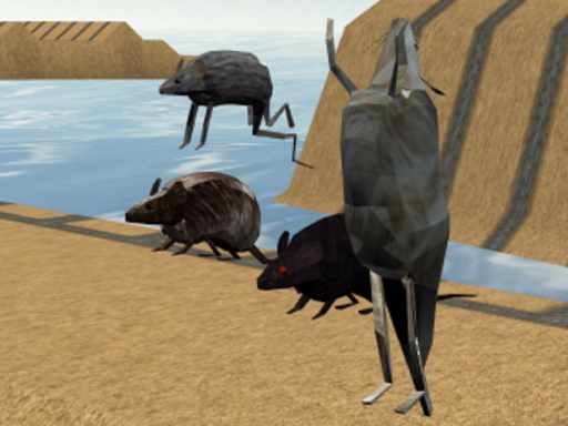 image Mouse Race Islands