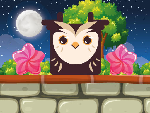 image Owl Block