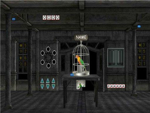 image Parrots Escape