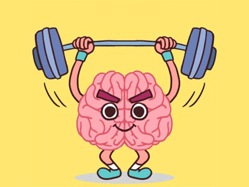 image Perfect Brain 3D Puzzle