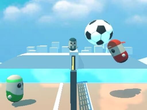 image Pin Voleyballs