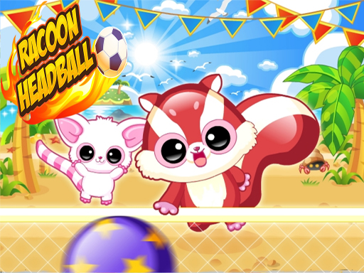 image Racoon Headball