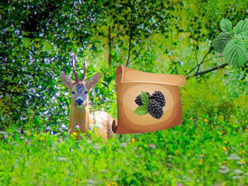 image Return To Alsunga Forest