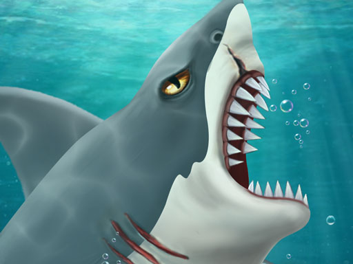 image Shark Attack-Casual