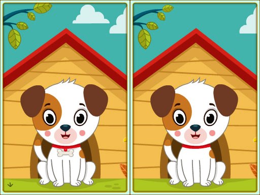 image Spot 5 Differences