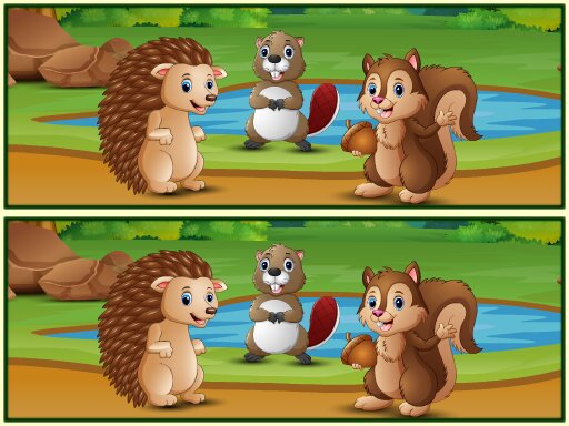 image Spot The Differences Forests