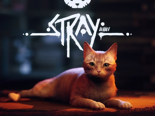 image Stray