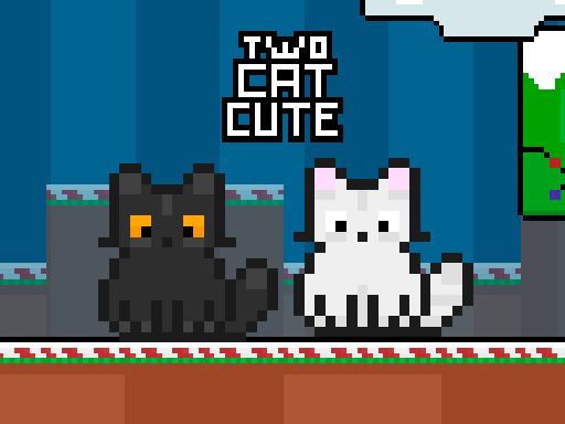 image Two Cat Cute