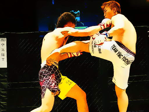 image UFC Fighting Match Jigsaw
