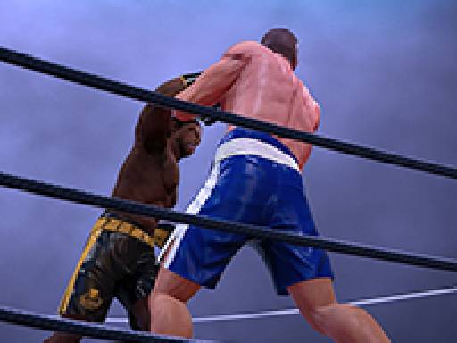 image Ultimate Boxing