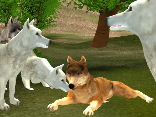 image Wild Wolves