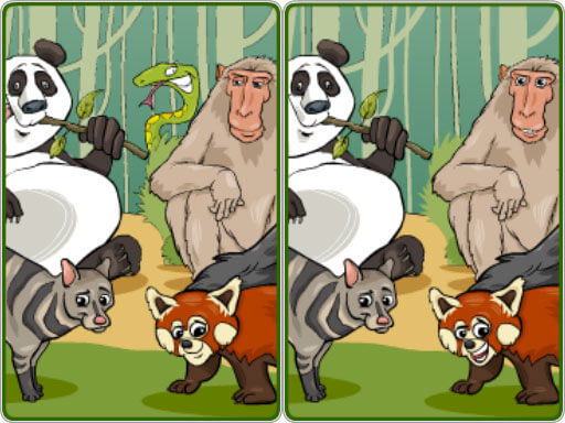 image Wildlife Safari Five Diffs